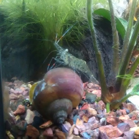 Meet your Posher, Username - Picture 1 of 1